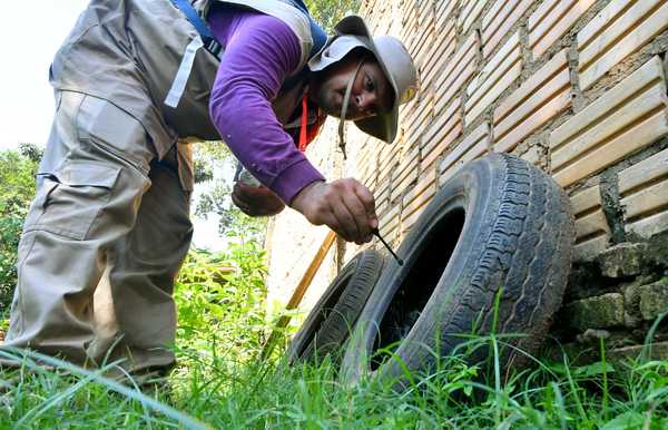 “Pará-na los criaderos”: trabajos de rastrillaje y fumigación