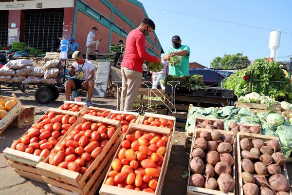 Visitá la feria de agricultores “AutoMag” en la costanera