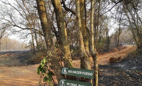 HOY / Desolador: incendio consumió el 80% de la reserva del Cerro Kõi de Areguá
