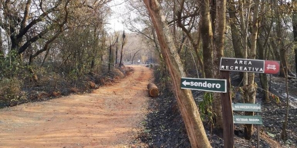 HOY / Voraz incendio producido el día de ayer en el Cerro Koi (Areguá)
