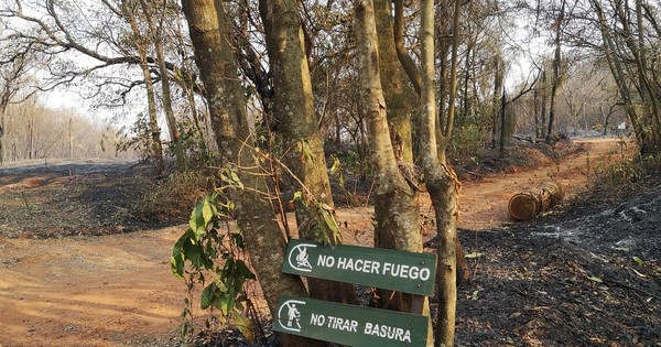 La Nación / Cerca del 80% del Cerro Kõi fue consumido por el fuego en Areguá