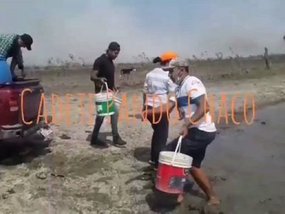 Crítica situación en Cadete Pando a consecuencia de los incendios forestales