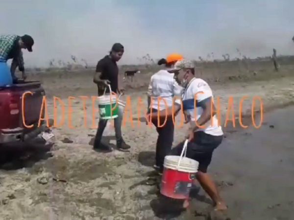 Crítica situación en Cadete Pando a consecuencia de los incendios forestales