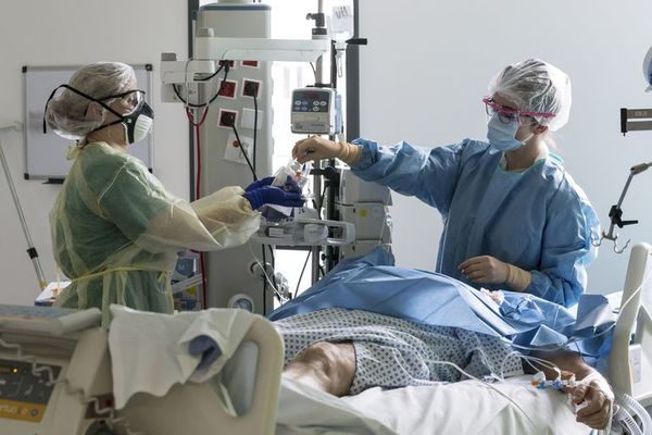 Estudio revela fiabilidad de inteligencia artificial para diagnosticar COVID - Ciencia - ABC Color