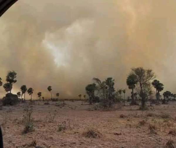 80% de Cadete Pando se quemó este miércoles