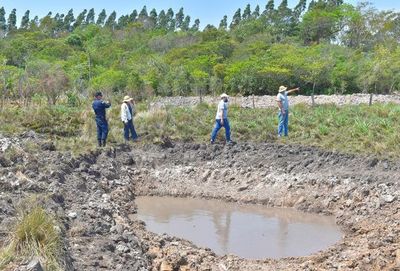 Denuncian tala indiscriminada de árboles en Coronel Martínez - Nacionales - ABC Color