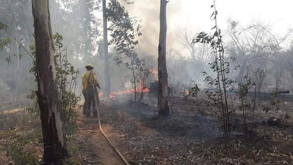 Terrible pérdida: El 80% del Cerro Kôi fue consumido por el fuego - ADN Paraguayo