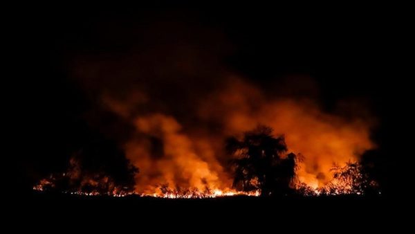 El 90% de incendios son intencionales