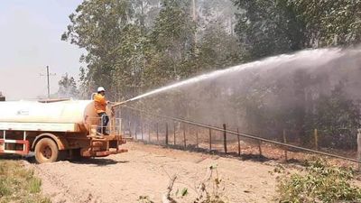 Captan momento en que obreros causan incendio tras tala de árboles - Nacionales - ABC Color