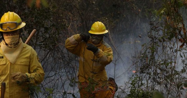 La Nación / Media sanción para otorgar apoyo financiero a bomberos voluntarios