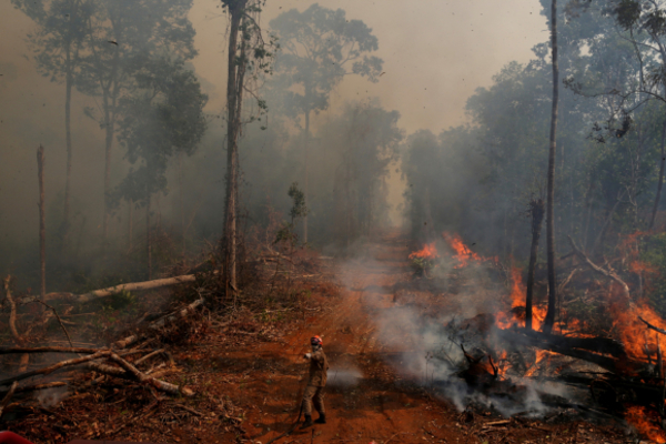 Los incendios en la Amazonía y Pantanal brasileño se dispararon en septiembre » Ñanduti