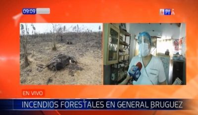 Una sola enfermera atendió a pacientes que lucharon contra incendio en Cadete Pando