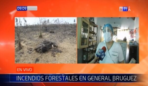 Una sola enfermera atendió a pacientes que lucharon contra incendio en Cadete Pando