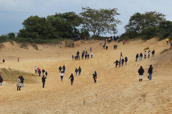 Misiones e Itapúa discuten pertenencia de isla Yasyretá - Digital Misiones