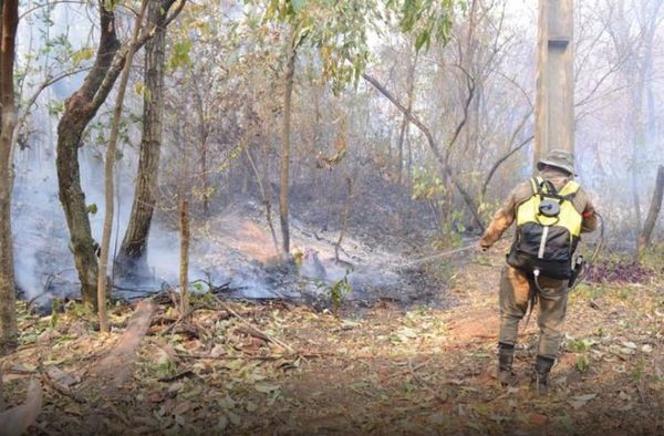 Sigue arduo trabajo para combatir el fuego en parques nacionales y en el monumento Cerro Kõi de Areguá