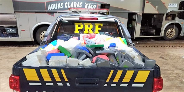Decomisan 500 kilos de COCAÍNA en colectivo con “FELIGRESES CATÓLICOS”