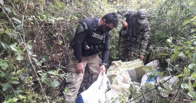 La Nación / Detectan depósito de drogas oculto en la Reserva San Rafael