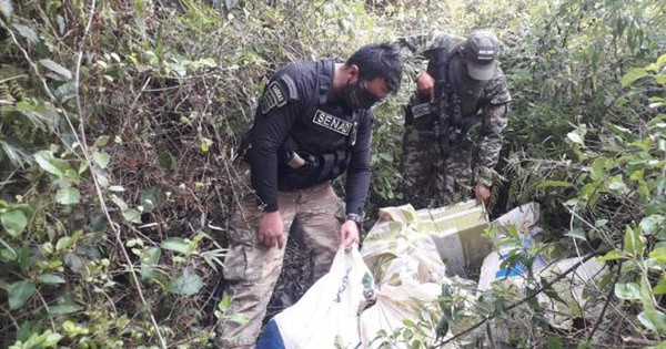 La Nación / Detectan depósito de drogas oculto en la Reserva San Rafael