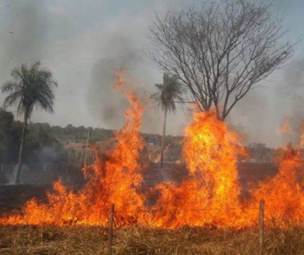 Desesperante situación en Aregua por incendios forestales