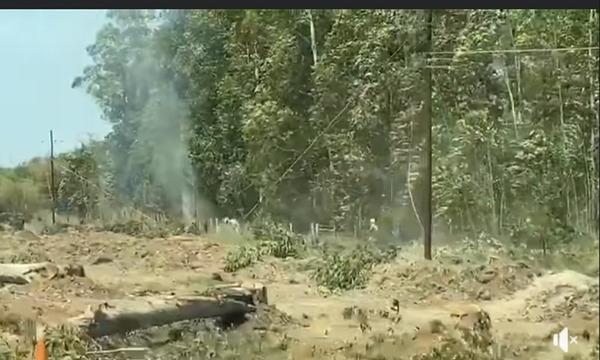 Dañan tendido eléctrico y ocasionan incendio en zona de San José de los Arroyos – Prensa 5