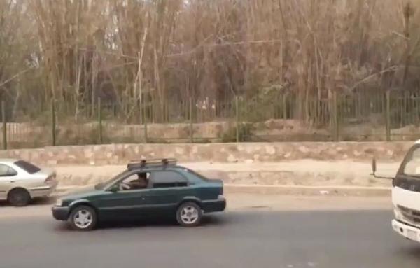Principio de incendio en el Jardín Botánico amenaza al pulmón de la Capital