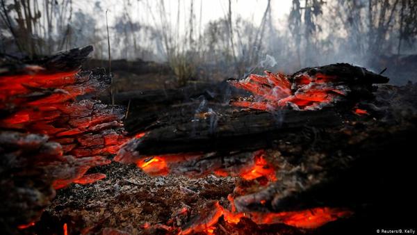 Europa critíca deforestación y amenaza bajar pulgar a TLC con Mercosur