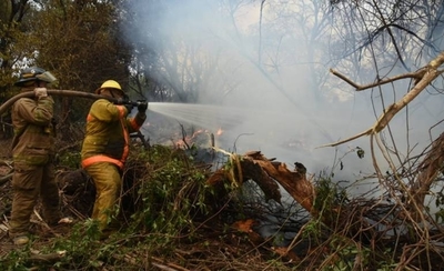 HOY / Controlan principio de incendio en predio del Jardín Botánico