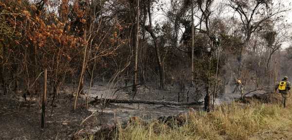 Incendios azotan al país y el humo cubre las ciudades - El Trueno