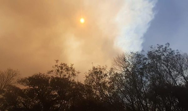 Incendios tiñen el cielo sobre Central