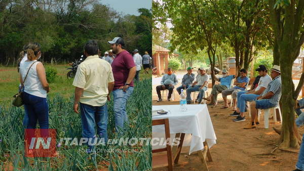 EN GRAL. DELGADO ESTIMAN PRODUCCIÓN DE 80 MIL KG DE CEBOLLA