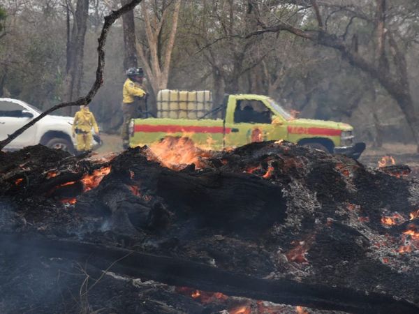 Declaran emergencia nacional por incendios y autorizan a Abdo solicitar ayuda internacional