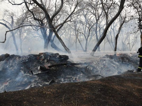 Un funcionario descompensado en incendio en el Jardín Botánico