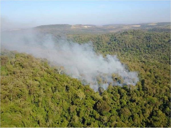 Evacuan a bomberos que combaten incendios en el Parque Nacional de Caazapá
