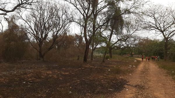 Gran parte de San Antonio está sin energía eléctrica - Nacionales - ABC Color