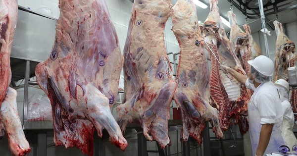 La Nación / Exportaciones de carne bovina y menudencias crecieron 5,44% a setiembre