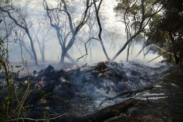 Declaran situación de emergencia nacional por incendios y autorizan solicitar ayuda internacional
