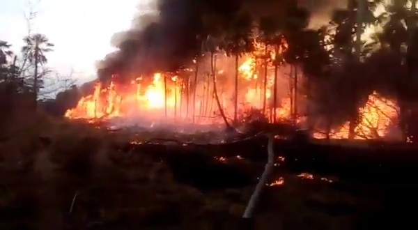 Declaran situación de emergencia nacional por incendios