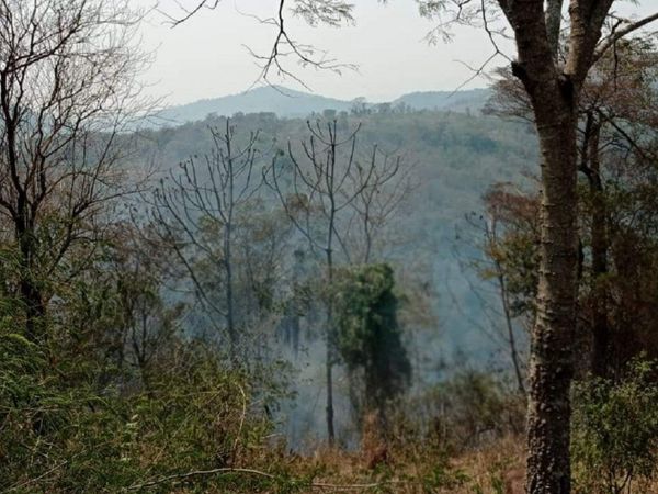 Se reaviva incendio en la Cordillera del Ybytyruzú