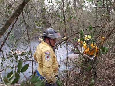 Logran controlar incendio en Tarumandy, Luque » Ñanduti