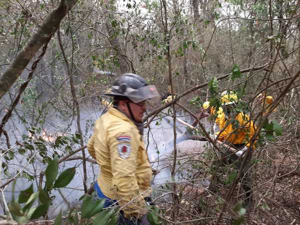 Logran controlar incendio en Tarumandy, Luque » Ñanduti