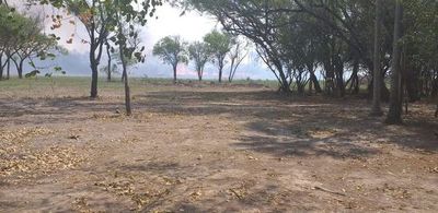 Incendio forestal en zona del pantanal de Bahía Negra - Nacionales - ABC Color