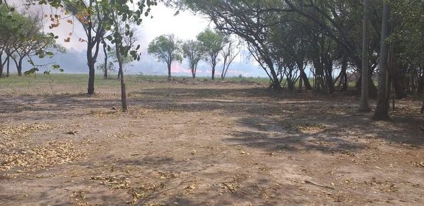 Incendio forestal en zona del pantanal de Bahía Negra - Nacionales - ABC Color