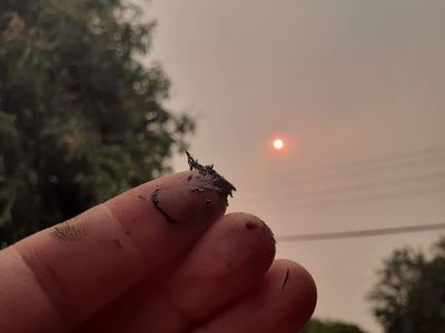 Salud emite alerta epidemiológica por consecuencias a salud de incendios - Nacionales - ABC Color