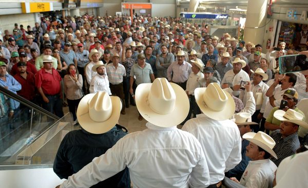 Suprimir subsecretaría de Agricultura, pésima señal para Consejo Agropecuario - MarketData