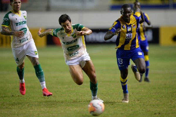 Delfín le da vida a Olimpia