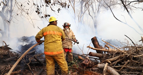La Nación / Congreso declaró en forma urgente emergencia nacional por incendios