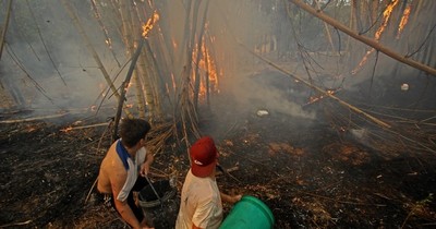La Nación / Caos en Areguá a causa de incendios reavivados