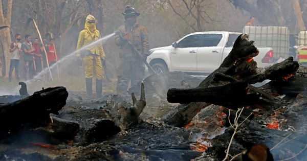 La Nación / Controlan incendio en el Botánico