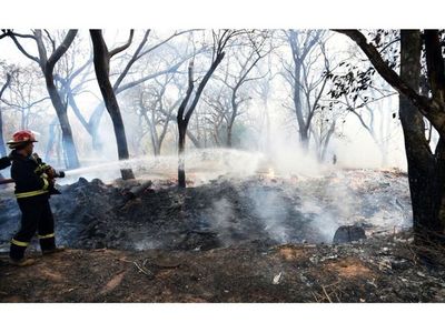 Botánico: Tacuaral se prendió
