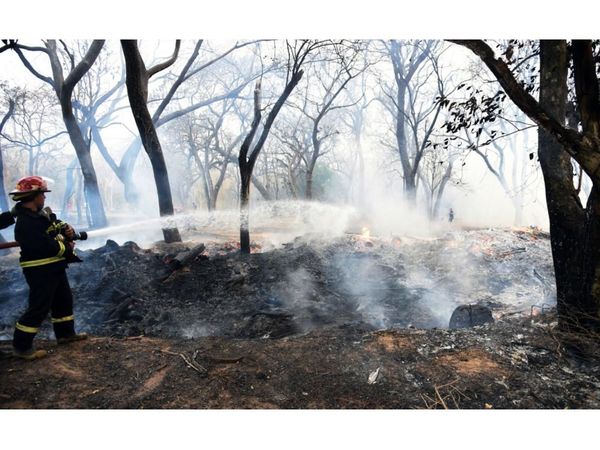 Botánico: Tacuaral se prendió